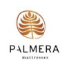 Palmera