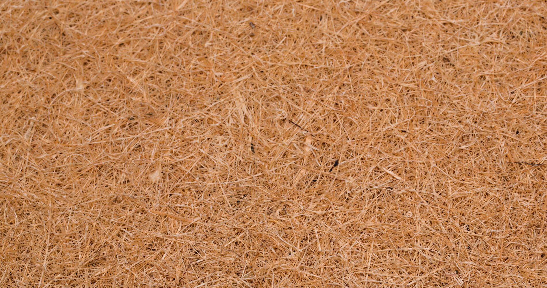 Coconut double coir